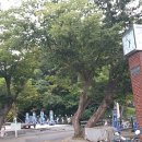 청룡마을회관 네이버블로그