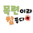 목련프로젝트어린이집 이미지