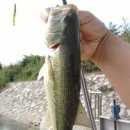 호성모텔 이미지