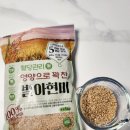 주식회사 생명나무