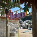 풀빌라이유민박 | 1박에 70만원 태운.. 우리의 여름여행, 가평글램하바나풀빌라펜션 내돈내산 후기