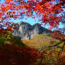 장성군청 이미지