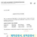 모아공인번역행정사사무소 이미지