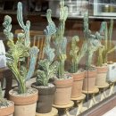 안경원 리안 | 율량동 리안경원 부모님 다초점렌즈 변색안경 솔직후기