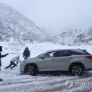 경보공인중개사사무소 이미지