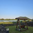 하도살이 | 제주도 구좌읍 독채 숙소 하도살이 솔직후기