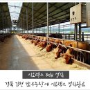 한우농장 이미지