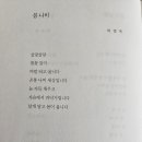 봄 나비 /박영옥 이미지