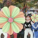 스프레이헤어 이미지