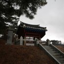 마중생태 이미지