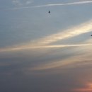 마산초등학교 이미지