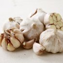 다산푸드 이미지