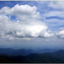 도장골2 이미지