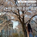 신갈근린공원 | 용인 기흥 벚꽃명소 만골근린공원 실시간 개화현황 벚꽃 피크닉 주차정보