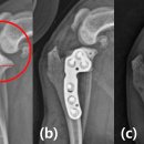 삼성골농장 이미지