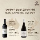 신대륙