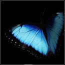 생활영어 마스터하기 이미지