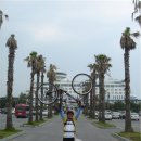 군산시-02274 | 전국일주 중간보고