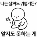 금당족발 이미지