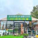 모모라면