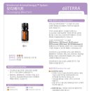 모티라이프 네이버블로그