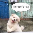 참 이미지