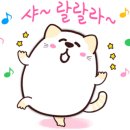 컴포즈일동