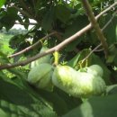 202-2-000001 이미지