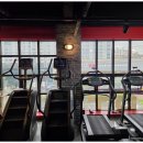 팀스파르타짐 | 프로페셔널한 트레이너와 함께하는 맞춤 PT 팀스파르타짐 성정점 후기