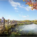 한숲약국 이미지