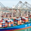 오렌지 수산 이미지