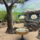 노루 화장실 이미지