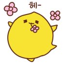 뽀야랑 콩이랑