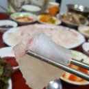 인천 제물포 맛집 싱싱종합어시장 - 포장 전문 가성비 좋은 횟집 참돔 회 포장 내돈내산 후기