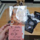 펫 뜰 네이버블로그
