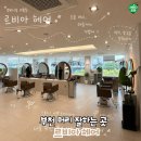 부천 머리 잘하는 곳 르비아 헤어 남자 다운펌 애즈펌으로 여름 스타일 변신 완료