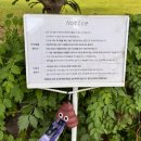 새마을로1R-44 | 제주 서귀포 애견동반 카페 터틀락 | 오프리쉬 잔디밭 흑임자라떼 맛집