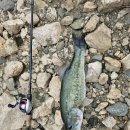 예안면 주진리(주진교) | [경북 안동, 청송] 7살 아이와 1박2일 여행_안동호 배스 낚시, 유교랜드, 주왕산온천관광호텔, 솔기온천