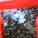 단양농협 대강지점 이미지