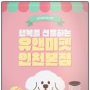 건강한삶 | 고양비숑프리제분양, 유앤미펫에서 건강한 비숑을 만난 만족스러운 후기