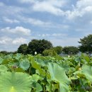 서울숲 무지개터널 앞 이미지