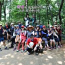 741차 (일요산행) 8월2일 서울둘레길 이미지