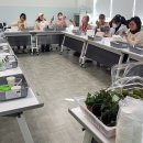 자연가습 이끼 테라리엄 티스토리