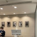 460024 | 도쿄저렴한숙소 가성비 넘치는 지하철 3분 거리 위치 호텔 마이스테이스 하마마츠초