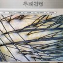 에비수뷰티 이미지