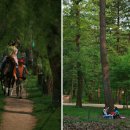 종일목장 이미지