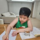 약수유치원 | [아빠표수학] 초3 소마셈 D단계 (D4, D5, D6 4학년) 초등 연산 문제집 완성 후기