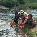 쏘가리네 이미지