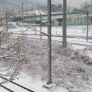 대덕동 난점마을 앞 | 오벨리스크, 상암월드컵파크11단지 앞 숲 눈풍경, 경기도 고양시 대덕동, 향동천 주변 오리 및 눈풍경 등