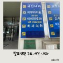 세진약국 | 탈모 치료 병원 서울 구로 세진내과 내돈내산 후기